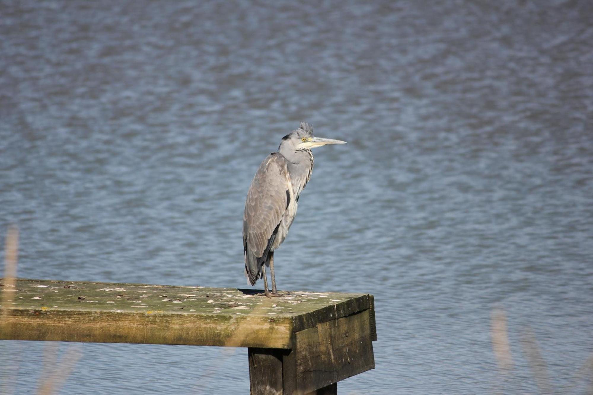 Lakeside Park Hotel & Spa Fishbourne  Bagian luar foto